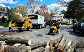 Best Mulching Services  in Wynantskill, NY
